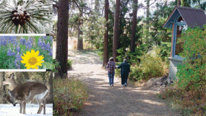 trails-300x169