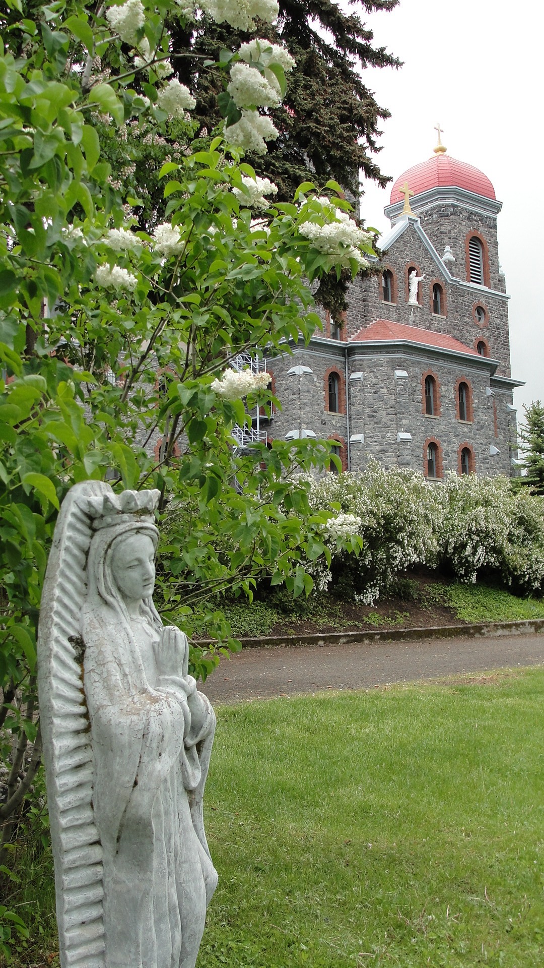 DSC03016